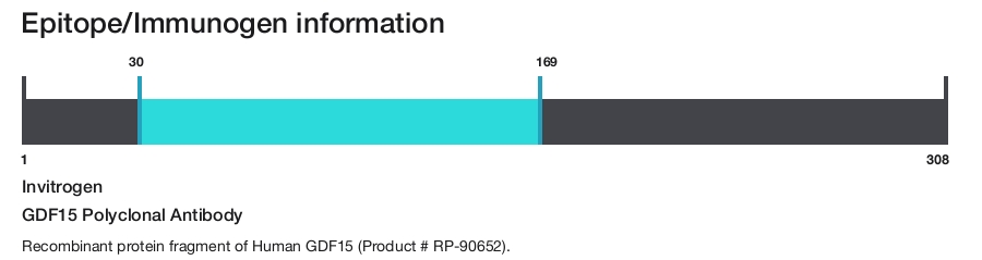 GDF15 Polyclonal Antibody