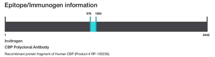 CBP Polyclonal Antibody