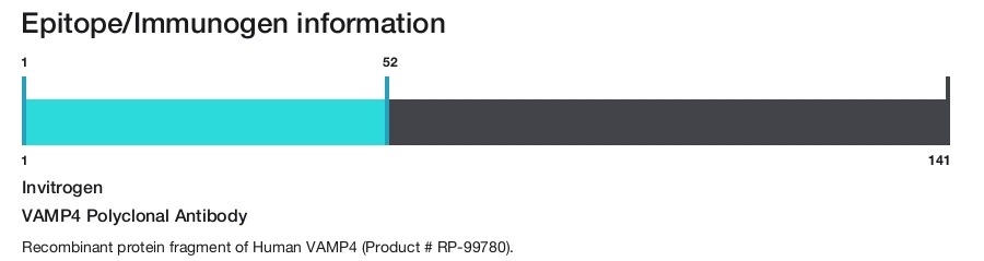 VAMP4 Polyclonal Antibody