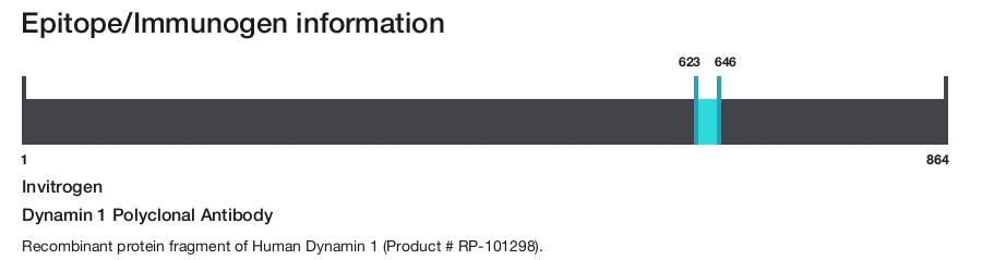 Dynamin 1 Polyclonal Antibody