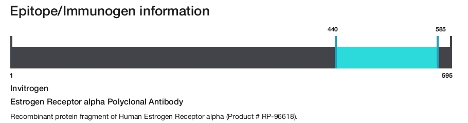 Estrogen Receptor alpha Polyclonal Antibody