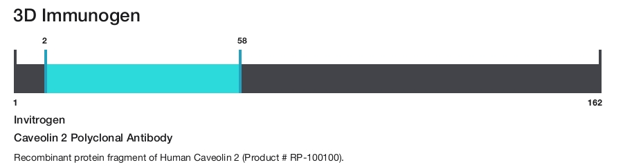 Caveolin 2 Polyclonal Antibody