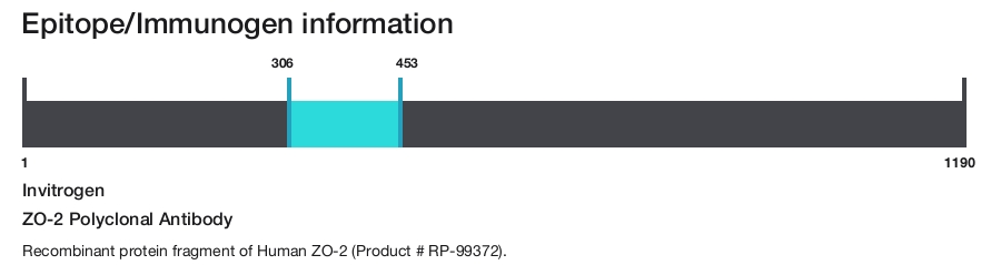 ZO-2 Polyclonal Antibody