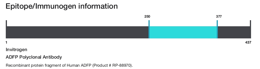 ADFP Polyclonal Antibody