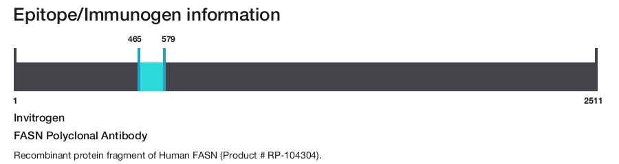 FASN Polyclonal Antibody