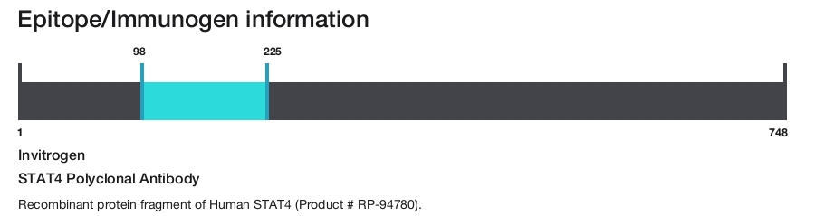 STAT4 Polyclonal Antibody