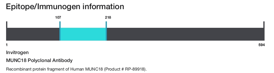 MUNC18 Polyclonal Antibody