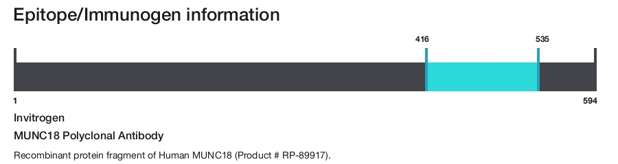 MUNC18 Polyclonal Antibody