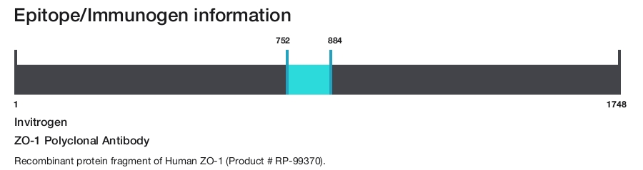 ZO-1 Polyclonal Antibody
