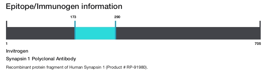 Synapsin 1 Polyclonal Antibody