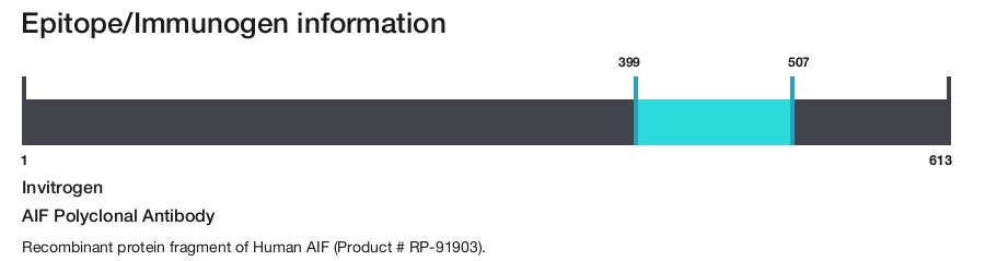 AIF Polyclonal Antibody