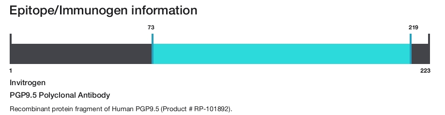 PGP9.5 Polyclonal Antibody