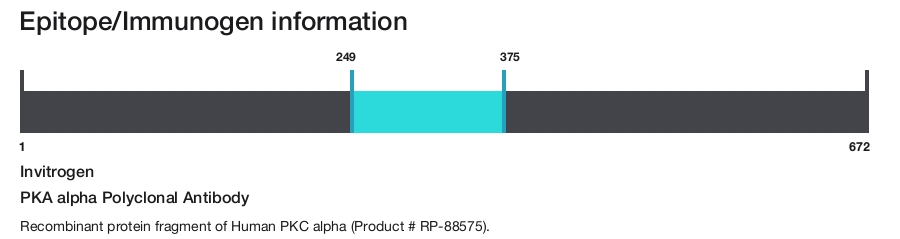 PKA alpha Polyclonal Antibody