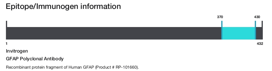 GFAP Polyclonal Antibody