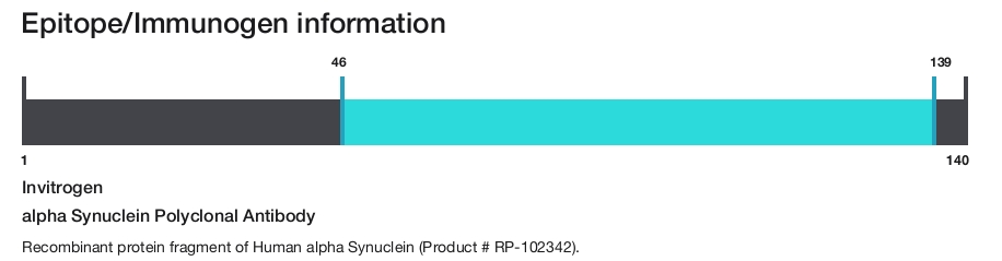 alpha Synuclein Polyclonal Antibody