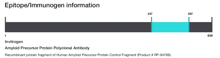 Amyloid Precursor Protein Polyclonal Antibody