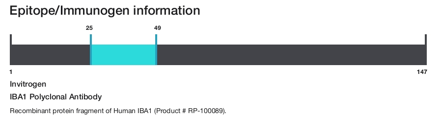 IBA1 Polyclonal Antibody