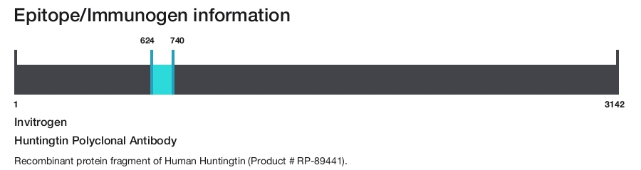 Huntingtin Polyclonal Antibody