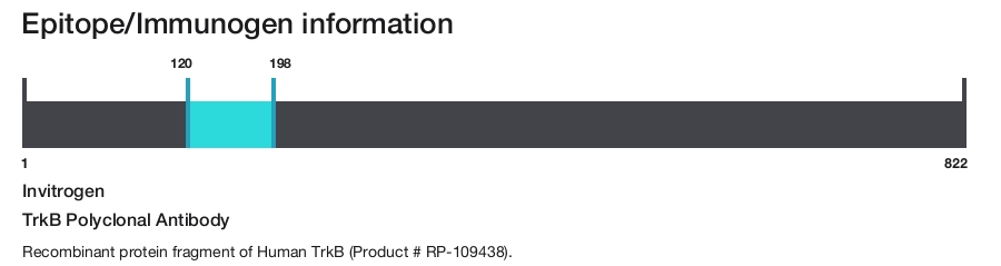 TrkB Polyclonal Antibody