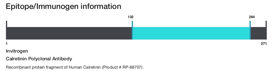 Calretinin Polyclonal Antibody