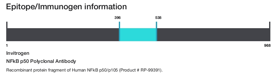NFkB p50 Polyclonal Antibody