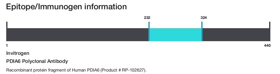 PDIA6 Polyclonal Antibody
