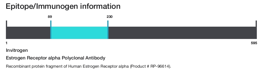 Estrogen Receptor alpha Polyclonal Antibody