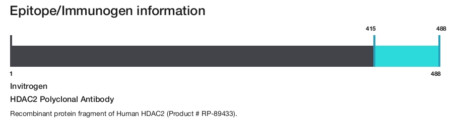 HDAC2 Polyclonal Antibody