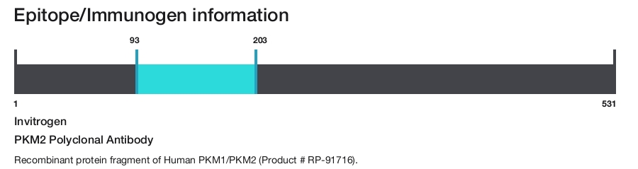 PKM2 Polyclonal Antibody