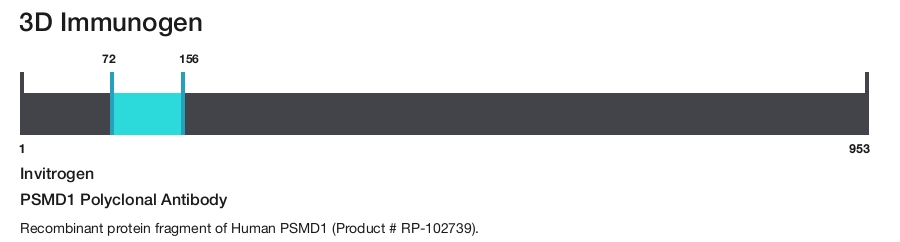 PSMD1 Polyclonal Antibody