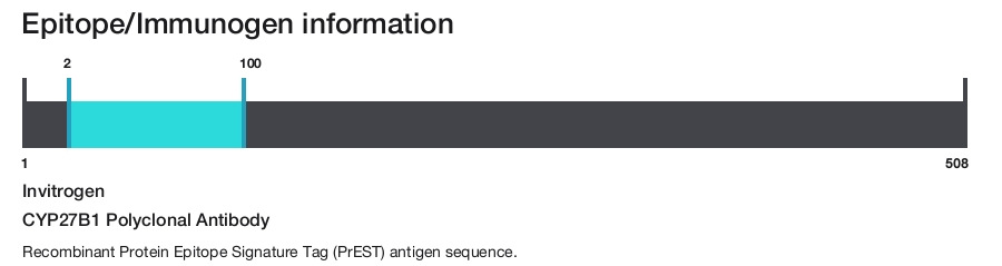 CYP27B1 Polyclonal Antibody