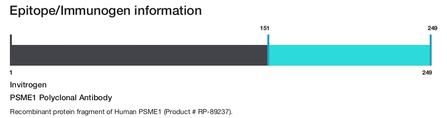 PSME1 Polyclonal Antibody