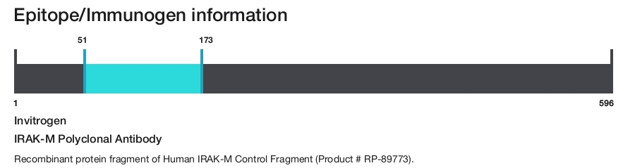 IRAK-M Polyclonal Antibody