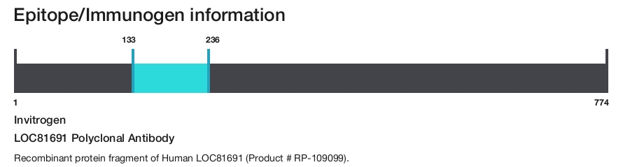 LOC81691 Polyclonal Antibody
