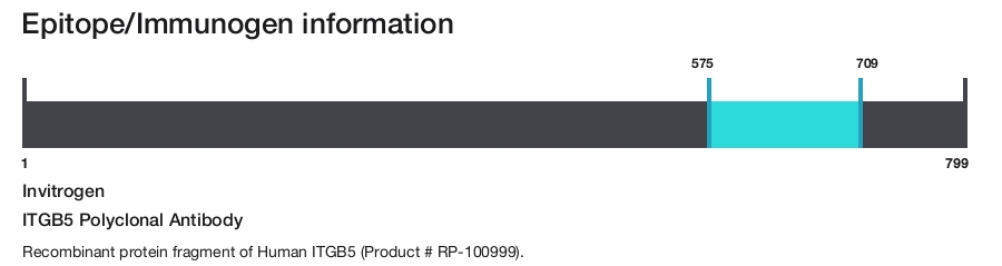 ITGB5 Polyclonal Antibody