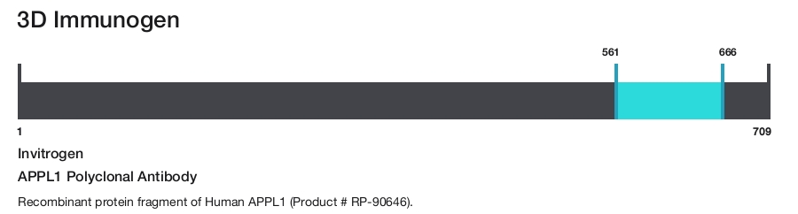 APPL1 Polyclonal Antibody