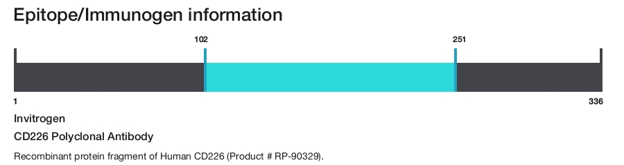 CD226 Polyclonal Antibody