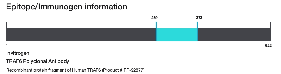 TRAF6 Polyclonal Antibody