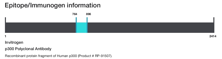 p300 Polyclonal Antibody