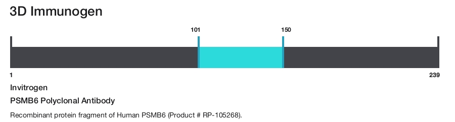 PSMB6 Polyclonal Antibody