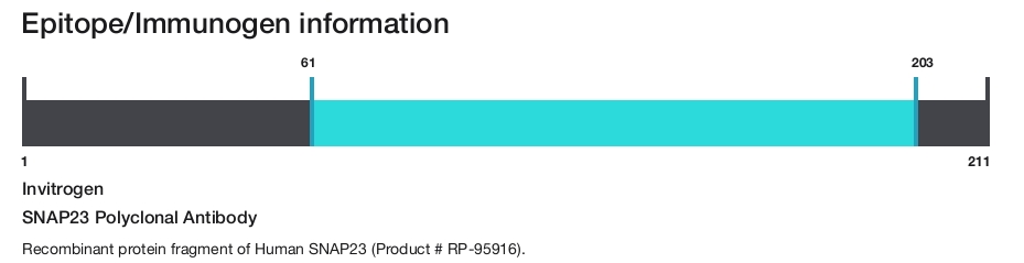 SNAP23 Polyclonal Antibody
