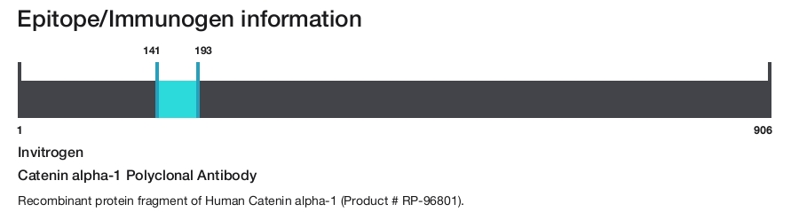Catenin alpha-1 Polyclonal Antibody