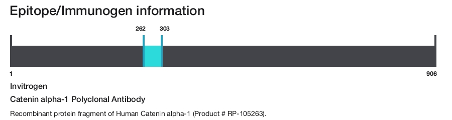 Catenin alpha-1 Polyclonal Antibody