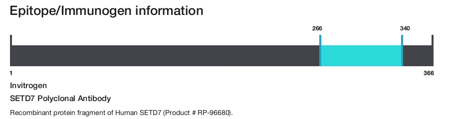 SETD7 Polyclonal Antibody