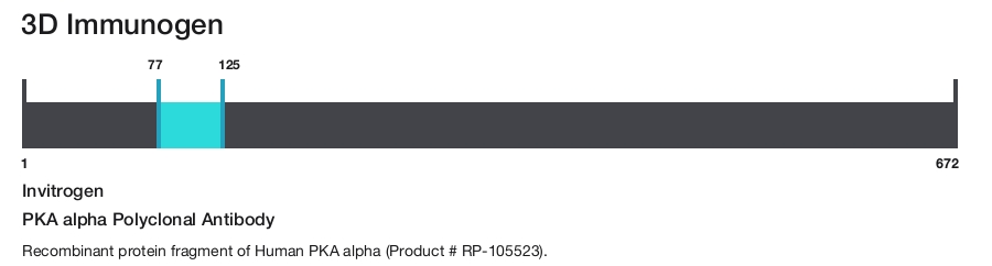 PKA alpha Polyclonal Antibody