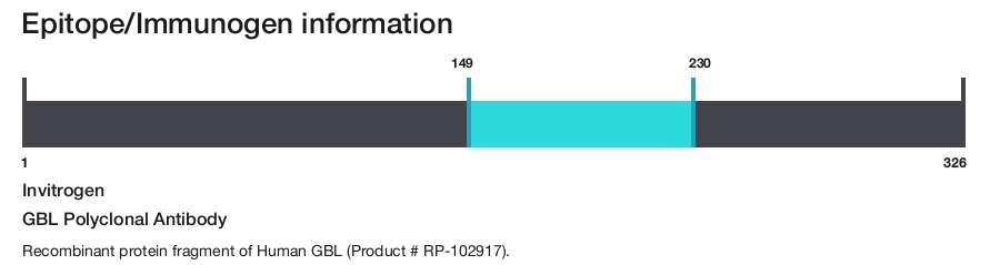 GBL Polyclonal Antibody