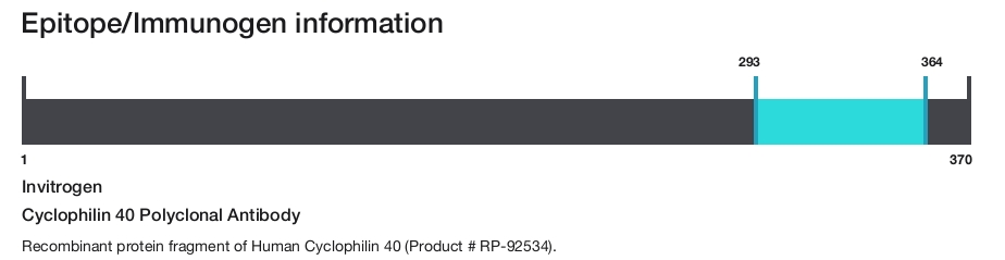 Cyclophilin 40 Polyclonal Antibody