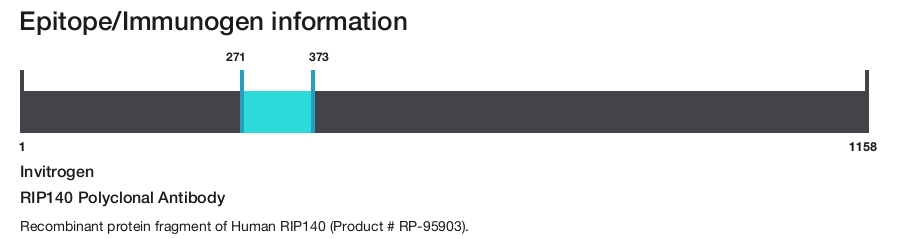 RIP140 Polyclonal Antibody