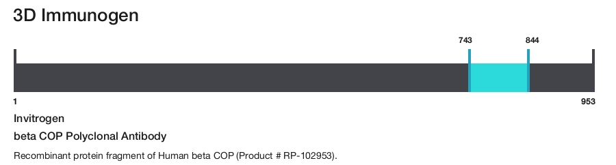 beta COP Polyclonal Antibody