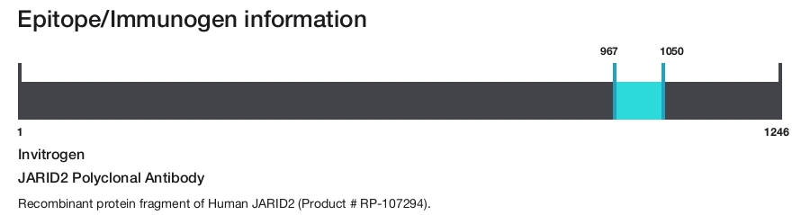 JARID2 Polyclonal Antibody